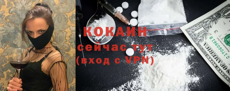 Cocaine FishScale  Верхотурье 